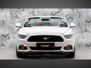 /photos/11159/369bea7b-f7dc-4921-ad9f-f5971f9b2777_i320x240.jpg